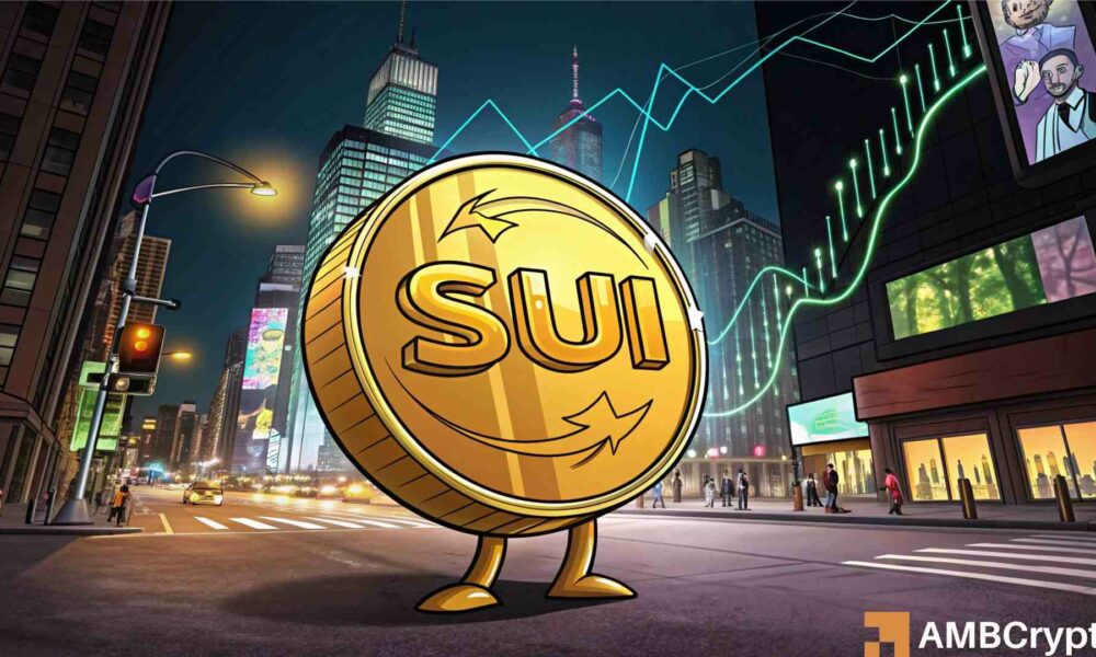 SUI 回落至上涨34%——市场关注的焦点在支撑位