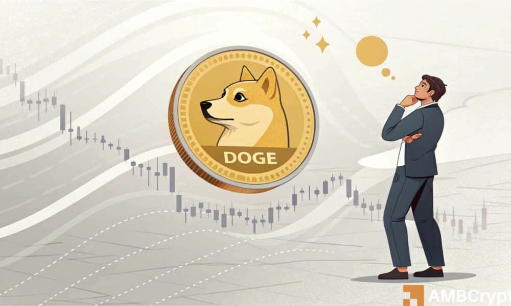 鲸鱼购入 2000 亿狗狗币,价格预测显示 0.30 美元的反弹即将到来!