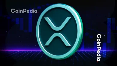 Ripple 新闻：David Schwartz 任命为 Evernorth 顾问，致力于推动 XRP 价值增长至 10 亿美元