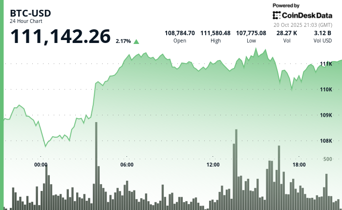 比特币反弹遇阻，XRP、Zcash 表现强劲；Arca 认为这不是死猫反弹
